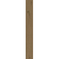 Керамогранит Atlas Concorde Entice Browned Oak 18.5x150