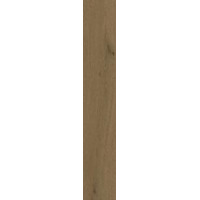 Керамогранит Atlas Concorde Entice Browned Oak Grip 20x120