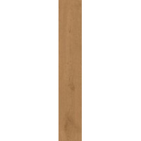 Керамогранит Atlas Concorde Entice Copper Oak Grip 20x120