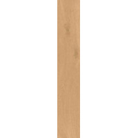 Керамогранит Atlas Concorde Entice Pale Oak 20x120