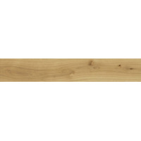Керамогранит Atlas Concorde Exence Almond 20x120