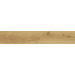 Керамогранит Atlas Concorde Exence Almond 20x120