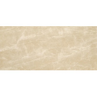 Atlas Concorde Marvel Edge Elegant Sable 50x120