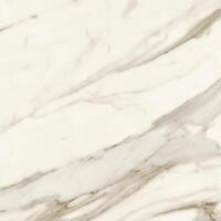 Керамогранит Atlas Concorde Marvel Meraviglia Calacatta Bernini 60x60