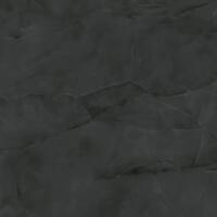 Керамогранит Atlas Concorde Marvel Onyx Noir Lapp 120x120