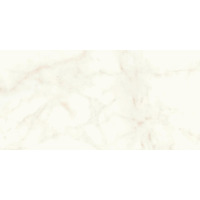 Керамогранит Atlas Concorde Marvel Shine Calacatta Delicato Matt 60x120