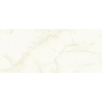 Atlas Concorde Marvel Shine Calacatta Delicato Silk 50x120