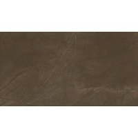 Atlas Concorde Marvel Bronze Luxury 30.5x56