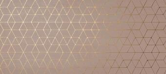 Atlas Concorde Mek Rose Hexagon 50x120