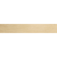 Керамогранит Atlas Concorde Nid Light 25x150