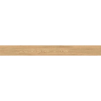 Керамогранит Ava Honey Wood Larice Nat 24x240