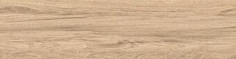 Керамогранит Ava Honey Wood Olmo Nat 30x120