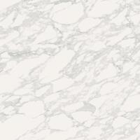 Керамогранит Ava Marmi Arabesque Lappato Rettiicato 60x60