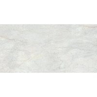 Керамогранит Ava Marmi Bianco Bernini Lappato Rettificato 60x120