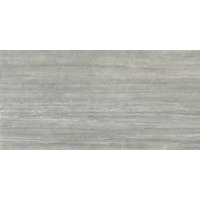 Керамогранит Ava Marmi Travertino Silver Lappato Rettificato 160x320
