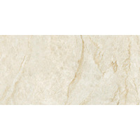 Керамогранит Ava Marmi Taj Mahal Lapp Rett 60x120