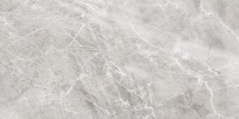 Керамогранит Axima Delhi Серая 60x120