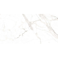 Керамогранит F2020821120M Statuario Classic Matt 60x120