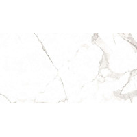 Керамогранит F2030821120M Statuario Gold Matt 60x120