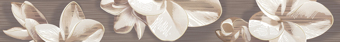 Плитка 584191003 Бордюр AMATI PLUMERIA ALBA 50,5х6,2