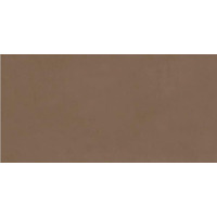 Плитка 508021101 Azolla mocca 20.1х40.5