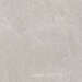 Керамогранит 00-00002578 Ebri Gris 60х60