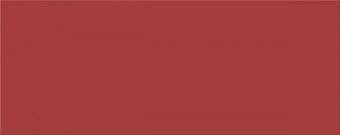 Плитка VELA CARMIN 20,1x50,5