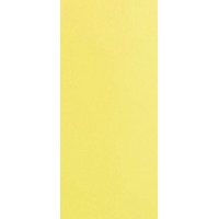 Плитка Палитра желтый 20,1x50,5