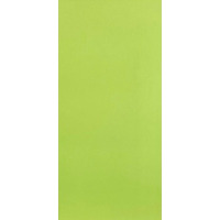 Плитка Палитра зеленый 20,1x50,5