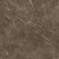 Керамогранит Baldocer Bayona Bplus Moka Pulido 120x120