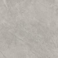 Керамогранит Baldocer Bayona Silver Nat 60x60