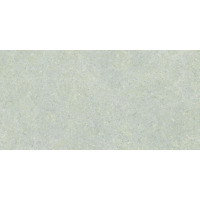 Керамогранит Baldocer Brunswich Ceniza 60x120