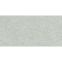Керамогранит Baldocer Brunswich Ceniza 80x160
