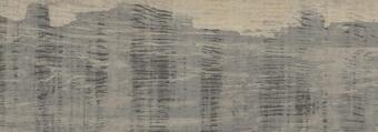 Baldocer Carson 17.5x50