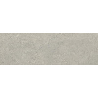 Baldocer Concrete Grey 28x85