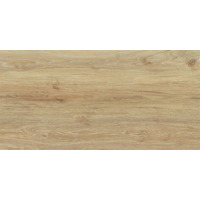 Керамогранит Baldocer Ducale Cedar 60x120