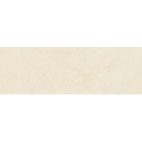 Baldocer Dynasty 40x120