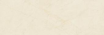 Baldocer Dynasty 40x120
