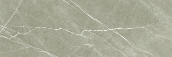 Baldocer Eternal Taupe 33.3x100