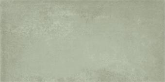 Керамогранит Baldocer Grafton Silver 40x80