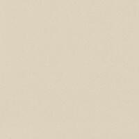 Керамогранит Baldocer Helton Bone 120x120