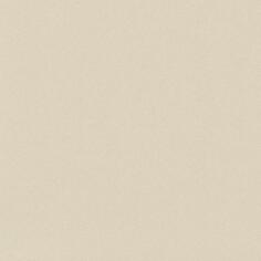 Керамогранит Baldocer Helton Bone 120x120