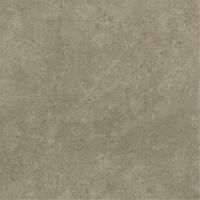 Керамогранит Baldocer Icon Taupe 60x60