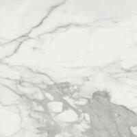 Керамогранит Baldocer Invictus Bplus Pulido 120x120