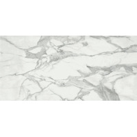 Керамогранит Baldocer Invictus Bplus Pulido 120x260