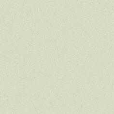 Керамогранит Baldocer Matter Ivory Natural 120x120