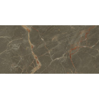 Керамогранит Baldocer Riscal Brown 60x120