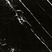 Керамогранит Bien Agatha Black Rec Full Lap 60x60