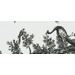Микс Bisazza Decori 10 Jardin Gris A 129.1x290.5