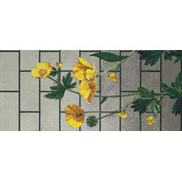Стекло Bisazza Decori In Tecnica Artistica Ranunculus A 10x10 129.1x290.5